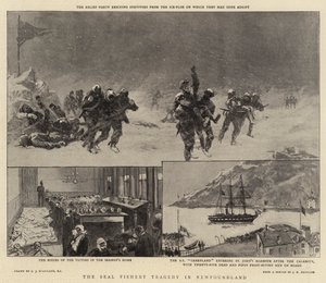 Sälfisketragedin i Newfoundland